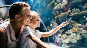 Indoor days out in London